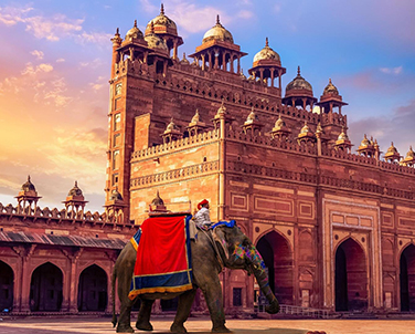 Best International travel agency in Delhi
